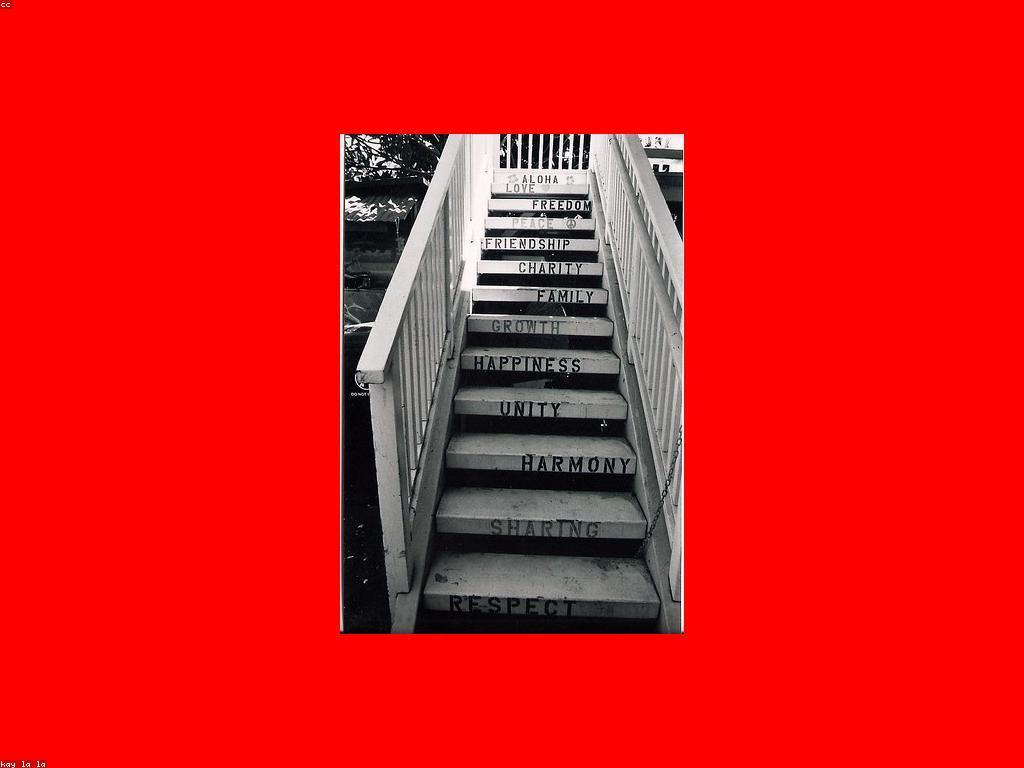 ផលប៉ះពាល់នៃការផ្តល់អំណោយចំពោះការលូតលាស់ផ្ទ个人