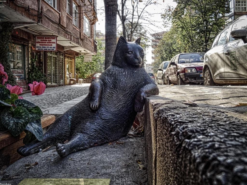 ការវាយតម្លៃកីឡា: ការប្រកួត និងការវាយតម្លៃនៃសមត្ថភាពកីឡាករ